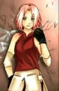 Sakura on the wall