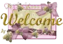 Welcome!