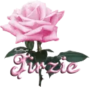 pink rose jirzie