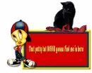 tweety