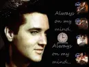 elvis