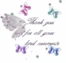 Thank you for your comments, butterfly wings
