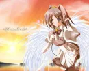 Sunset Angel