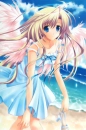 Ocean Breeze