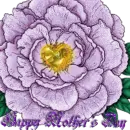 A purple flowe for Mother's Day