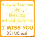 MIMI