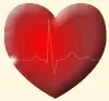 heart life