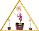 Triangle