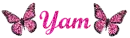 Pink-Yam