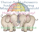 two elephants under umbrella with hugs Christaneka