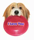i love u