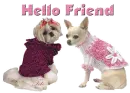 hello