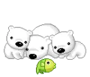 Cute Animals