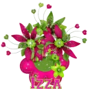 Izza