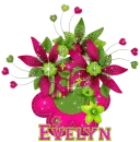 for my friend Evelyn