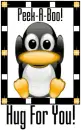 Peek-A-Boo Hug For You (cute penguin)