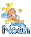 Bear on moon- Noah