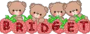 Strawberry Bears- Bridget