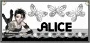 Alice- Doll