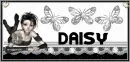 Daisy- Doll