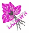 LADAWN
