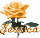 orange rose jessica