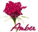 Amber