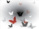 Butterflies