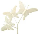 Butterfly Stem