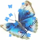 Sabrina Blue Butterfly