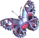Colorful Butterfly