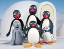 pingu