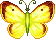 Yellow Butterfly
