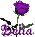 purple rose delia