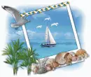 ocean