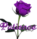 purple rose patience