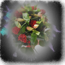 rose