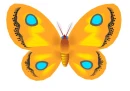 Yellow Butterfly