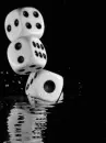 dice