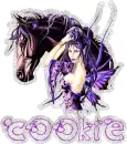 Cookie Fairy Horse