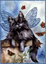 Fairy Cat