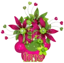 iris