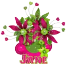 jane