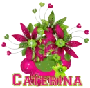 caterina