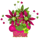for my friend Roni