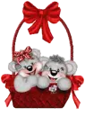 CREDDY BEARS
