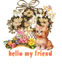 hello my friend