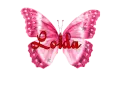 name-Loida