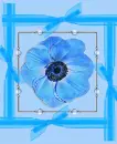 In Blue