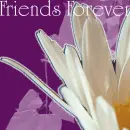 Friends Forever